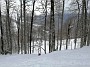 IMG_20210328_134445