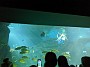 PXL_20210321_121425183
