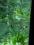 PXL_20210321_130233315