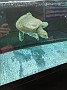 PXL_20210321_130512950