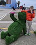 PXL_20210411_122141879