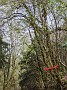 PXL_20210418_093014812