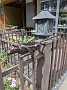 PXL_20210425_101237268