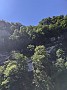PXL_20210614_104208228